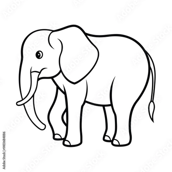 Fototapeta elephant line art vector on white background
