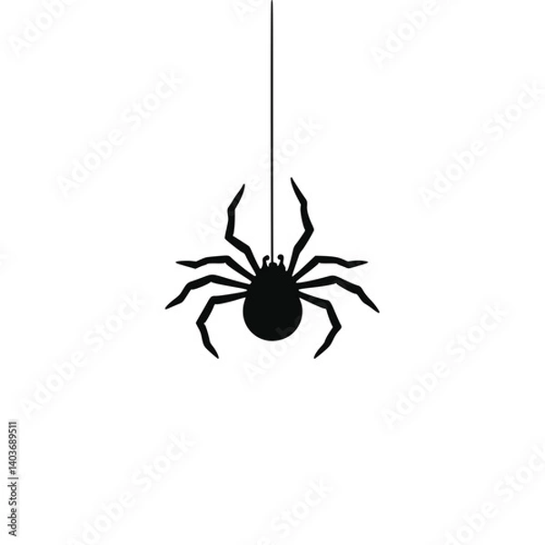 Fototapeta Black spider hanging on a thread against a white background  