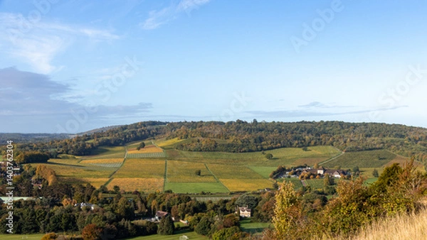 Fototapeta Panoramic view of one of England’s best vineyards in the Surrey Hills near Dorking
