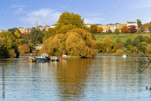 Fototapeta Richmond Hill and River Thames trees in an array of spectacular autumn colours