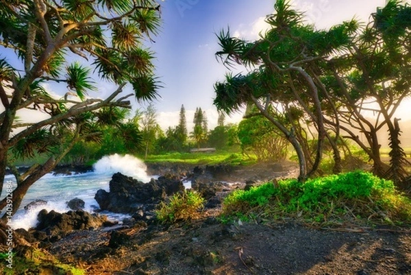 Fototapeta splashing waves in hawaii