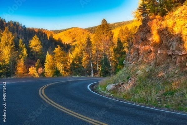 Obraz road in autumn
