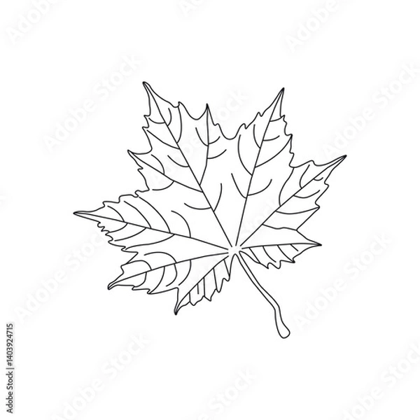 Fototapeta continuous line drawing of vector illustration of different type of leaves.