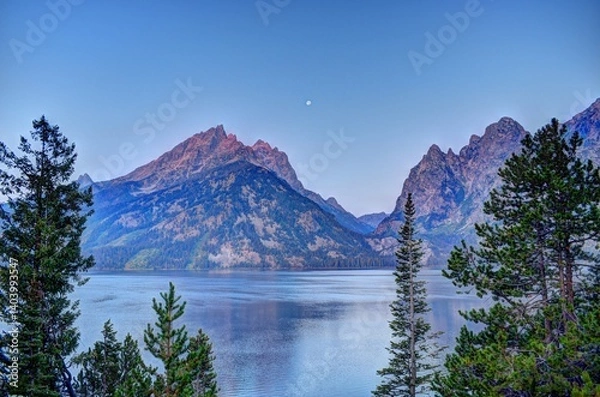 Obraz Jenny Lake Overlook Off of Teton Park Rd. Grand Teton National Park Moose, WY