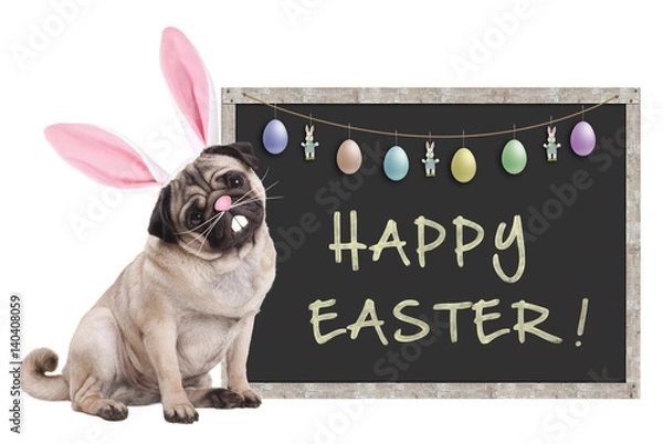Obraz cute pug puppy dog with bunny ears diadem sitting next to chalkboard sign with text happy easter and decoration, on white background