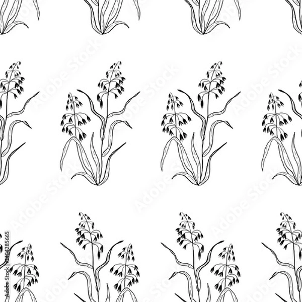 Fototapeta Seamless pattern with detailed realistic vector black and white illustration of oat plant. Hand drawn picture of wheat ears in engraved vintage style. Sketch of agricultural plant.