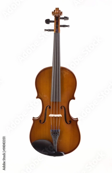 Obraz Viola Front