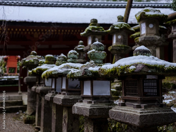 Fototapeta 雪が積もる春日大社の灯篭