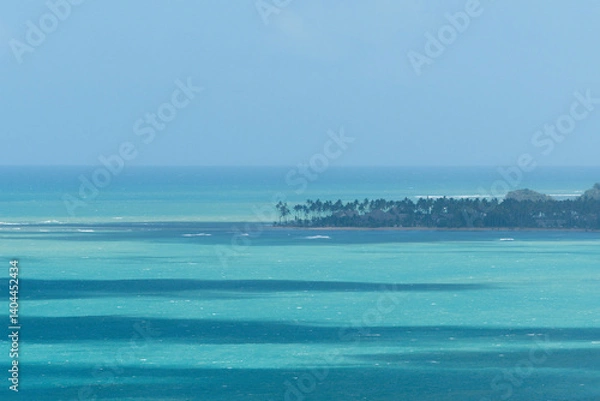 Fototapeta Island in ocean, shoreline with palm trees. 