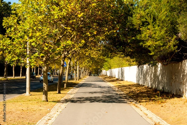Obraz Boulevard from Carcavelos station to the beach