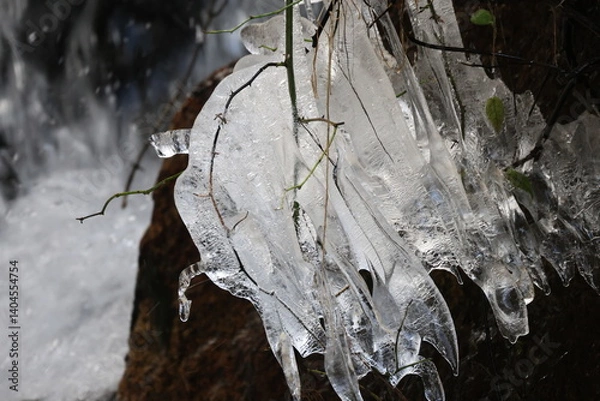 Fototapeta 滝の近くの枝にできた氷の塊