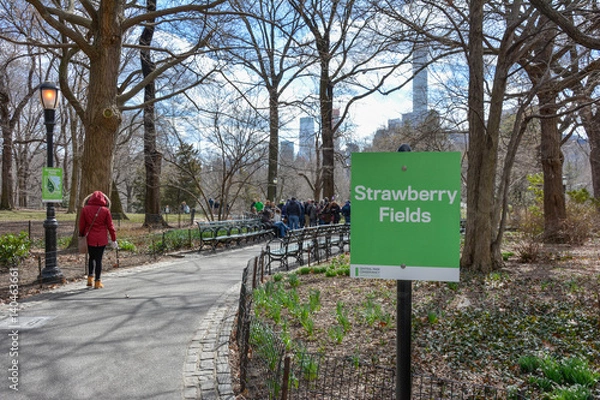 Obraz Strawberry Fields NY