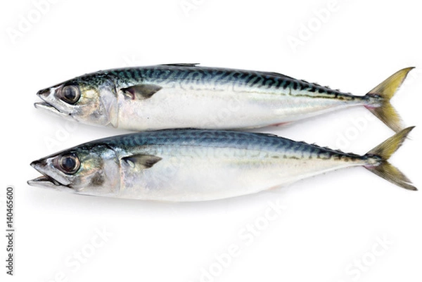 Fototapeta 真さば
