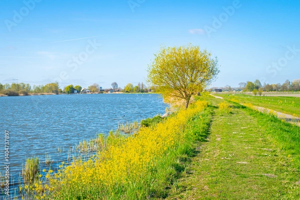 Fototapeta Beautiful view of the river Rotte in spring, between the villages of Moerkapelle and Zevenhuizen, Netherlands