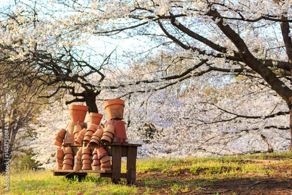 Obraz さくらをバックに植木鉢の置物