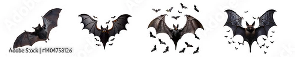Fototapeta Group of various bat species displaying their unique wing structures and poses.