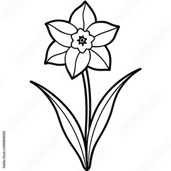 Fototapeta Simple Line Drawing of a Single Daffodil Flower Bloom