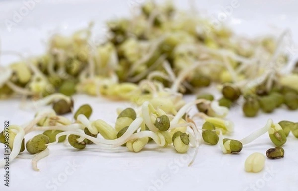 Obraz Macro of Sprouted Mung Bean or Green Gram Bean Stack Isolated on White Background with Copy Space, Also Known as Moong Beans