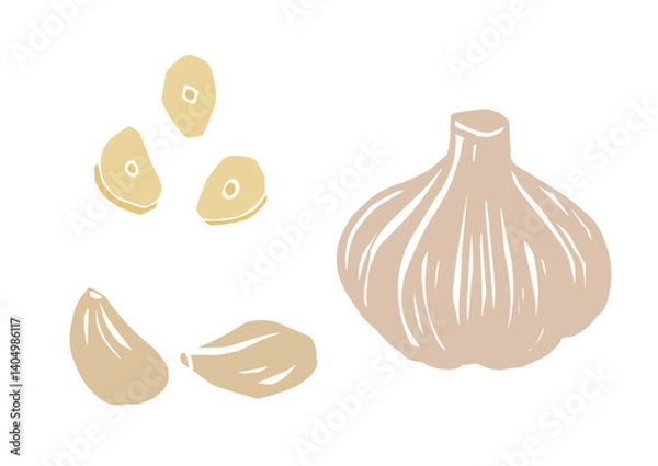 Fototapeta レトロな手描きの野菜のイラスト。にんにく