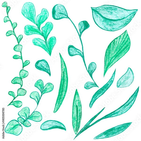 Fototapeta set of green leaves and twigs, raster hand drawing with colored pencils, decorative element, white background
