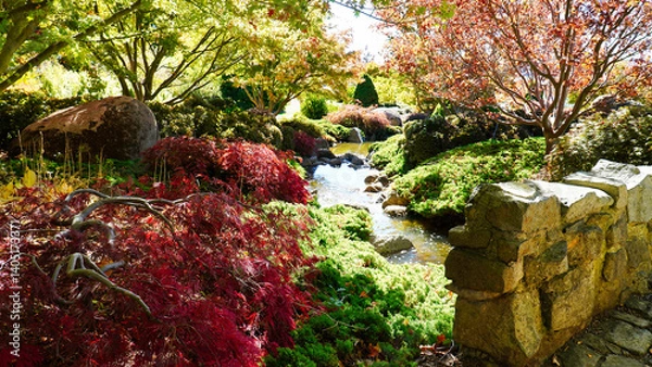 Fototapeta Mayfield Garden  NSW Australia.Colorful autumn foliage and a serene stream in a lush garden setting