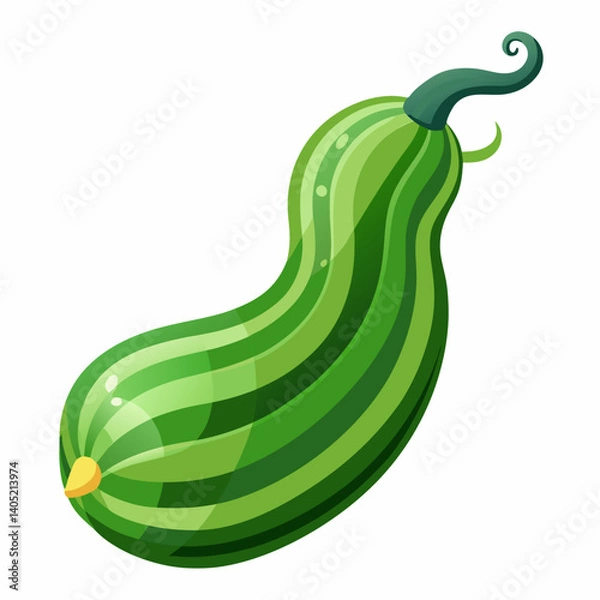 Obraz Snake Gourd on White Background