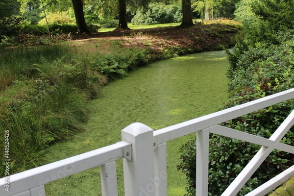 Obraz Wasser des Lebens