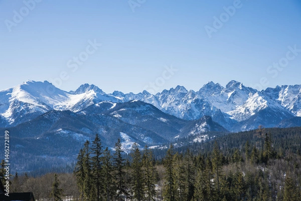 Obraz Wysokie Tatry w pogodny dzień