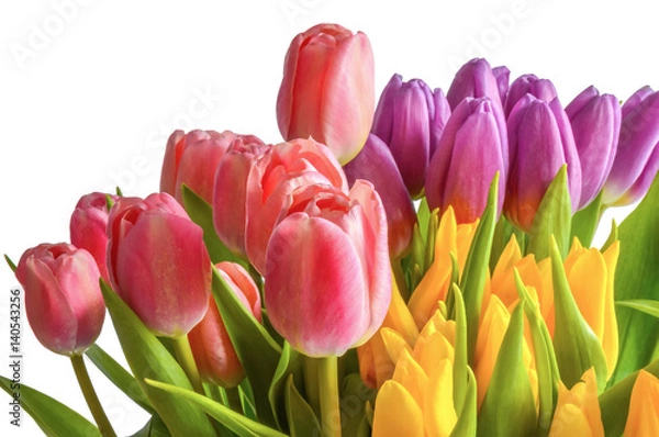 Fototapeta Spring bouquet. The image is isolated.