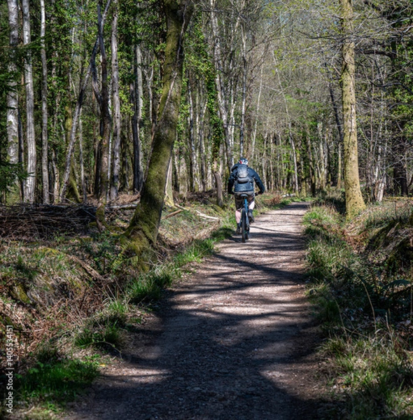 Obraz Cyclist riding along a woodland cycle track in the spring sunshine.