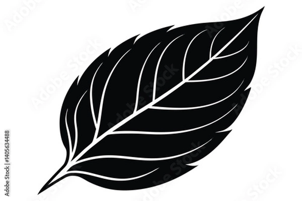 Obraz Black and white leaf illustration showing detailed venation and stylized shape