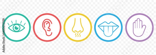 Fototapeta Human senses 5 five types. Vision through eye, smell with nose, taste with tongue line icon set. ENT Otolaryngologist ophthalmologist. Vector illustration on Transparent background