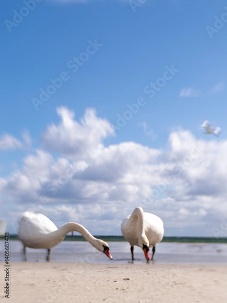 Obraz OLYMPUS DIGITAL CAMERA