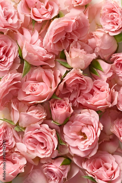 Fototapeta Roses full frame. Top view. Romantic background