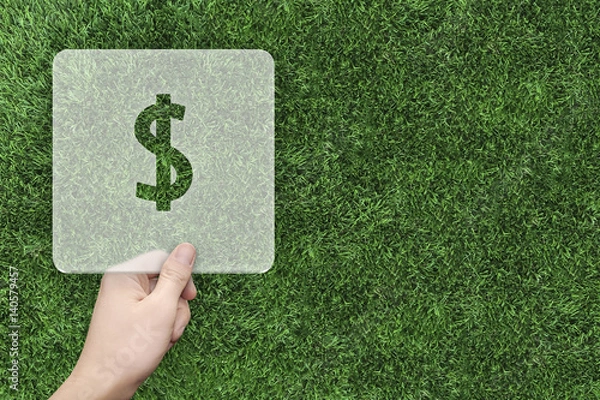 Obraz Dollar symbol message box with green grass background
