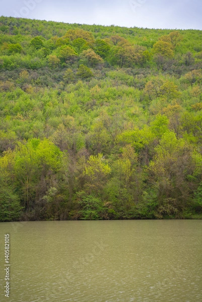 Fototapeta Serene lake surrounded by lush dense forested hill. Tranquil water body with trees in the background. Natural landscape concept