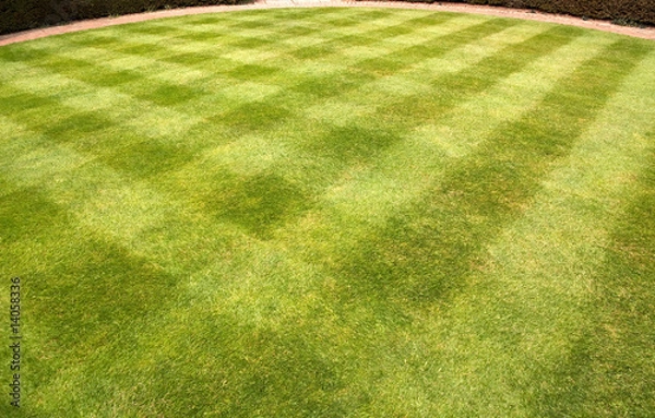 Fototapeta Lawn mowed in a pattern