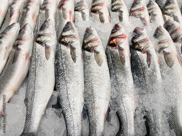 Obraz close up of a fish market display with freshly caught seabass covered with powdered ice for preservation, horizontal
