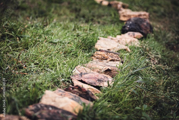 Obraz Stones in a queue on the lawn