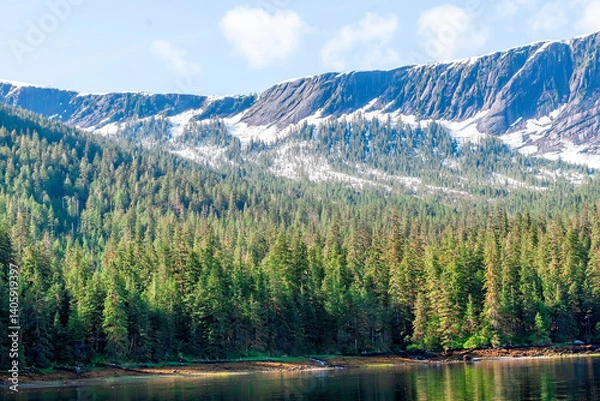 Obraz Evergreen Forests and Snow Capped Mountains in Alaska