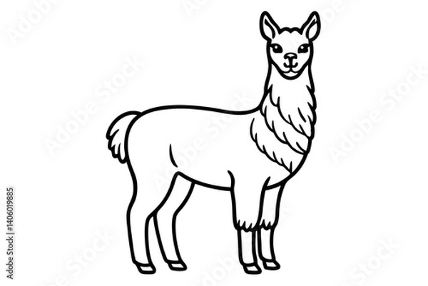 Fototapeta Alpaca Minimalist Line Art