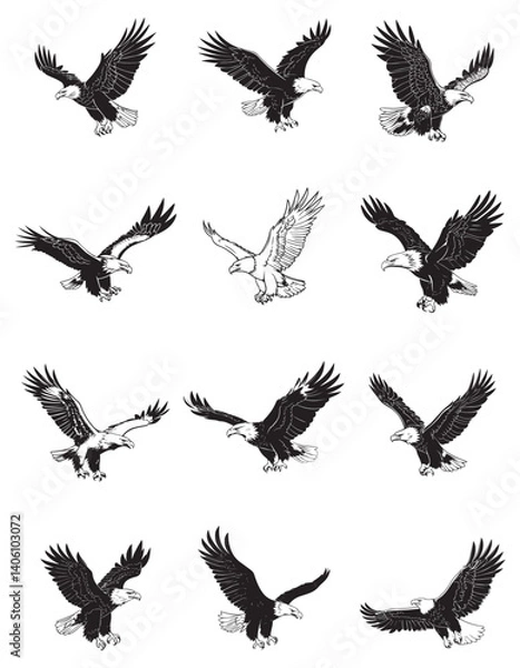 Obraz Wild vector illustration of eagle
