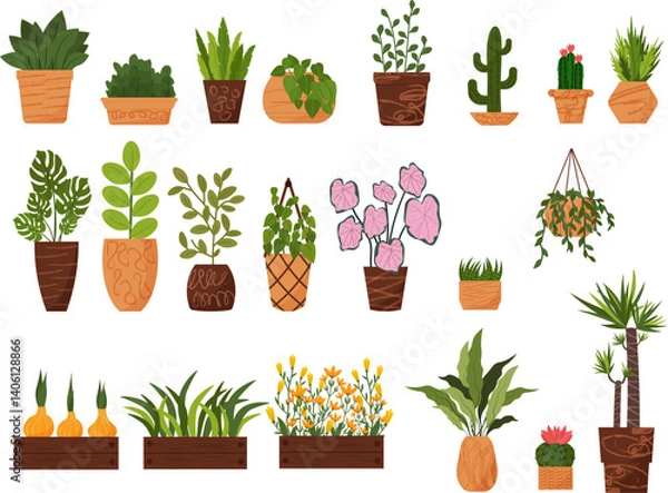 Obraz Indoor plants in pots for home, office, room decor. A set of flowers in clay pots, wooden boxes and hanging planters. Various types of plants - begonia, cacti, palms and bulbous plants, bindweed