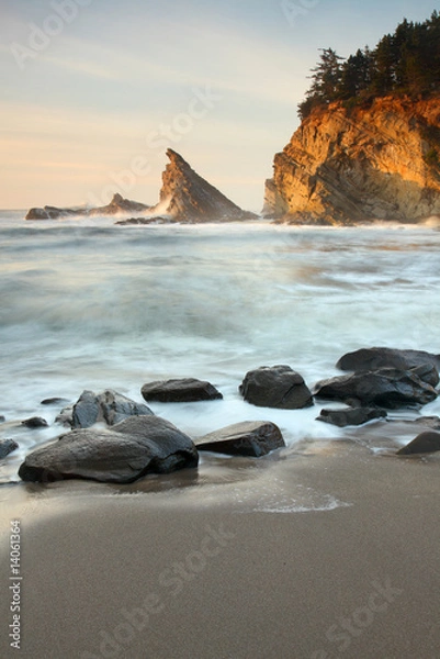 Obraz Oregon coast portrait