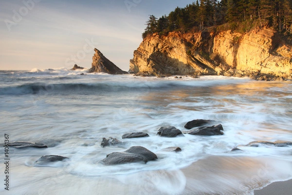 Obraz Oregon coast portrait