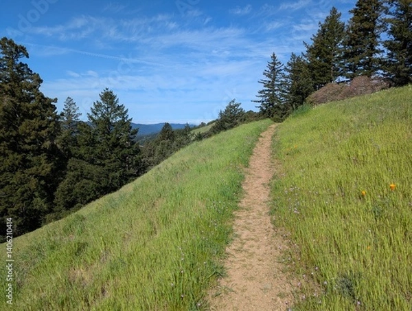 Obraz hiking trail on a hillside