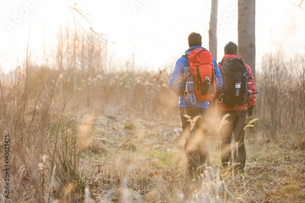Fototapeta Full length rear view male hikers walking in field