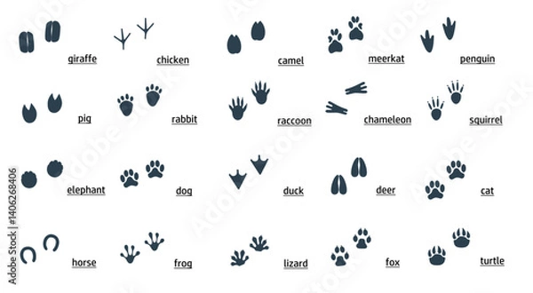 Obraz 動物の足跡のシルエットセット