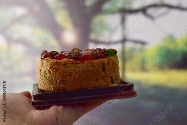 Fototapeta Closeup of Fruit cake in a dark brown plastic tray on a man's hand with blurred bokeh natural background at Thailand.