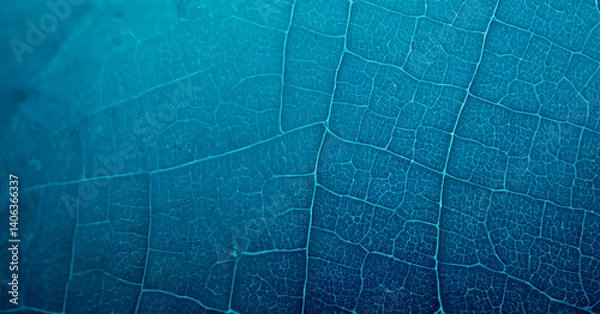 Fototapeta Blue ice surface with scratches and lines forming a textured abstract background.